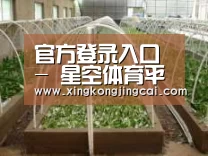 环境展示五