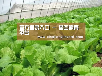 种植基地一