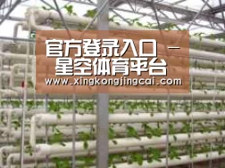 环境展示六
