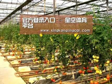 种植基地二