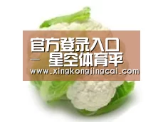 产品名称九