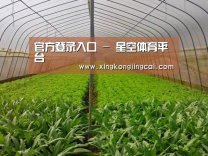 种植基地四