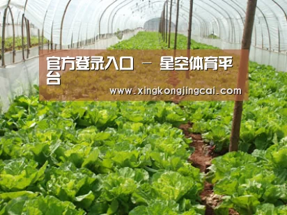 种植基地五