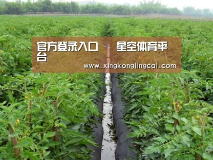 种植基地三