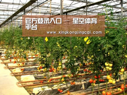 种植基地二(图1)