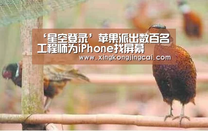 ‘星空登录’苹果派出数百名工程师为iPhone找屏幕(图2) 星空直播