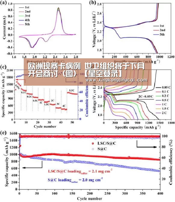 欧洲现寨卡病例 世卫组织将于下月开会商讨(图)【星空登录】(图3) 星空官网
