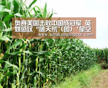 奥赛美国击败中国成冠军 英媒感叹“破天荒(图)‘星空直播’(图4) 星空竞猜