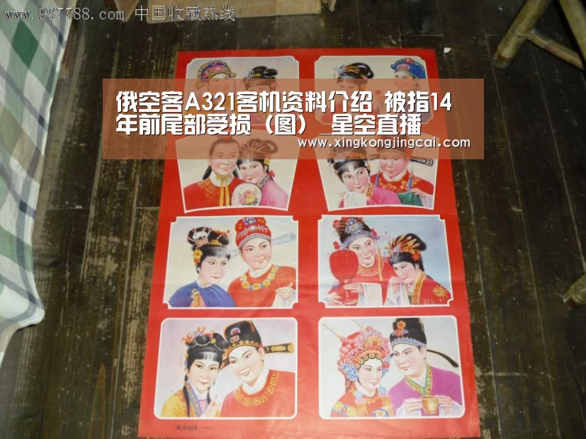 俄空客A321客机资料介绍 被指14年前尾部受损(图)_星空直播(图3) 星空竞猜
