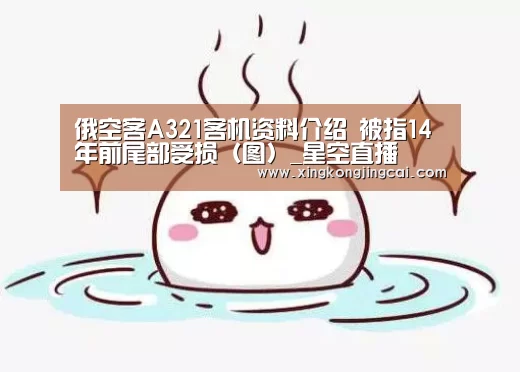 俄空客A321客机资料介绍 被指14年前尾部受损(图)_星空直播(图1) 星空竞猜