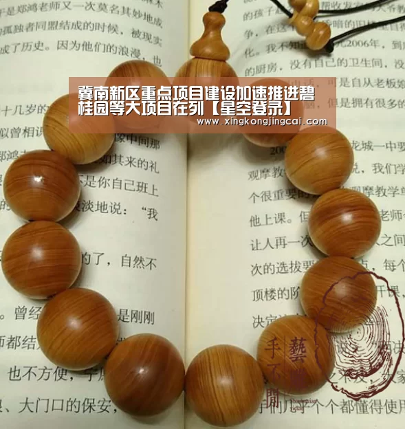 冀南新区重点项目建设加速推进碧桂园等大项目在列【星空登录】(图2) 星空竞猜