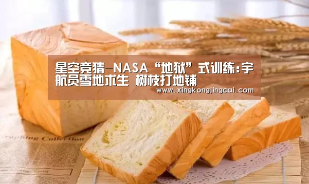 星空竞猜-NASA“地狱”式训练:宇航员雪地求生 树枝打地铺(图1) 星空官网