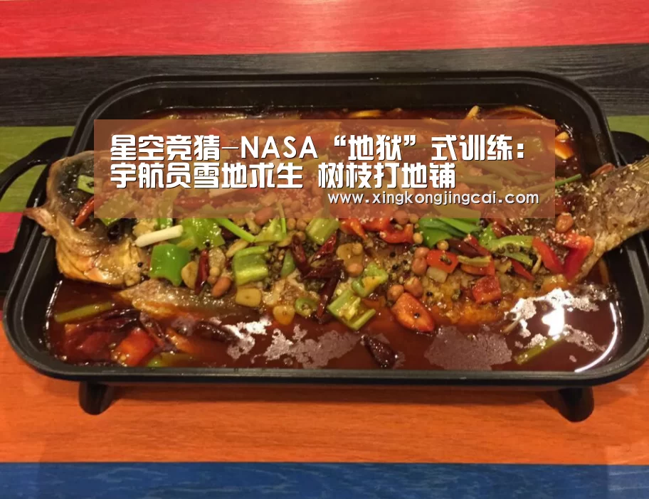 星空竞猜-NASA“地狱”式训练:宇航员雪地求生 树枝打地铺(图2) 星空直播
