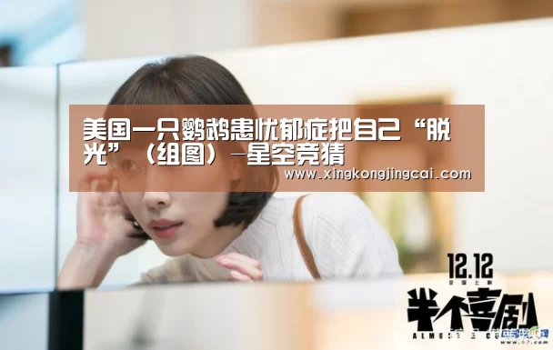 美国一只鹦鹉患忧郁症把自己“脱光”(组图)-星空竞猜(图2) 星空竞猜
