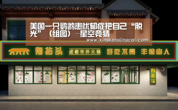 美国一只鹦鹉患忧郁症把自己“脱光”(组图)-星空竞猜(图4) 星空竞猜
