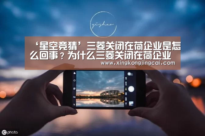 ‘星空竞猜’三菱关闭在荷企业是怎么回事?为什么三菱关闭在荷企业?(图2) 星空官网