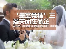 ‘星空竞猜’三菱关闭在荷企业是怎么回事?为什么三菱关闭在荷企业?(图1) 星空官网